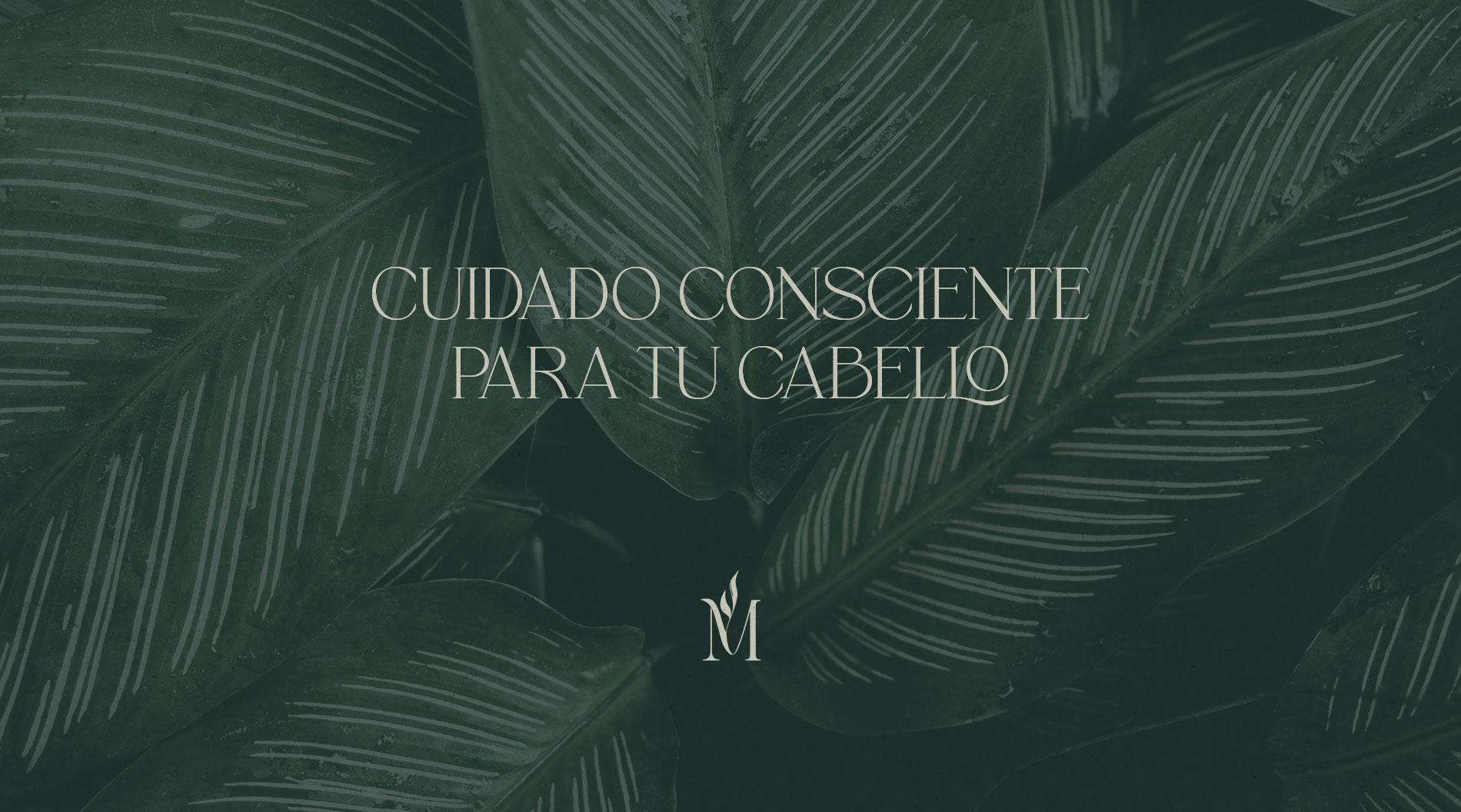 LaKarulina - Diseño de mensajes de marca y sistema tipográfico para MINT con serif elegante y sans moderna