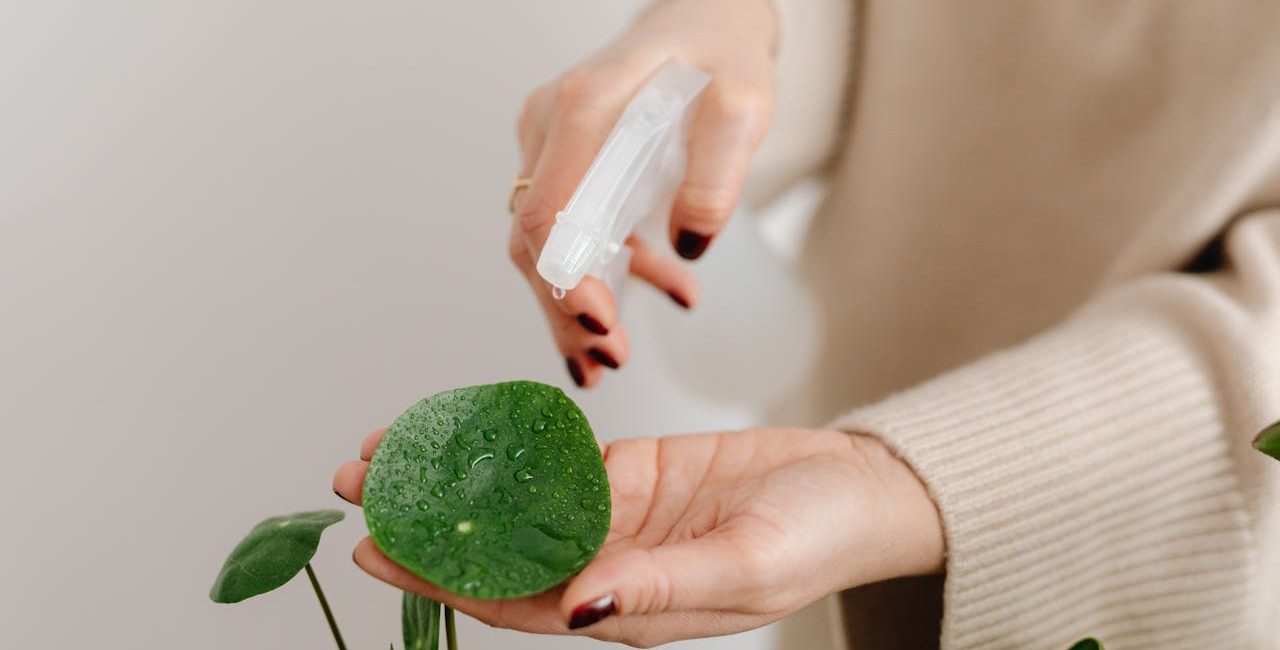 Una mano cuidando y regando una planta de interior junto a un ordenador, metáfora de mantenimiento web constante